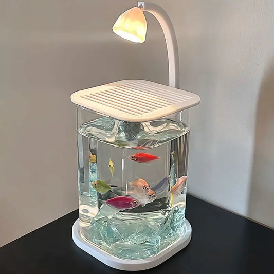 Acrylic Desktop Fish Tank
